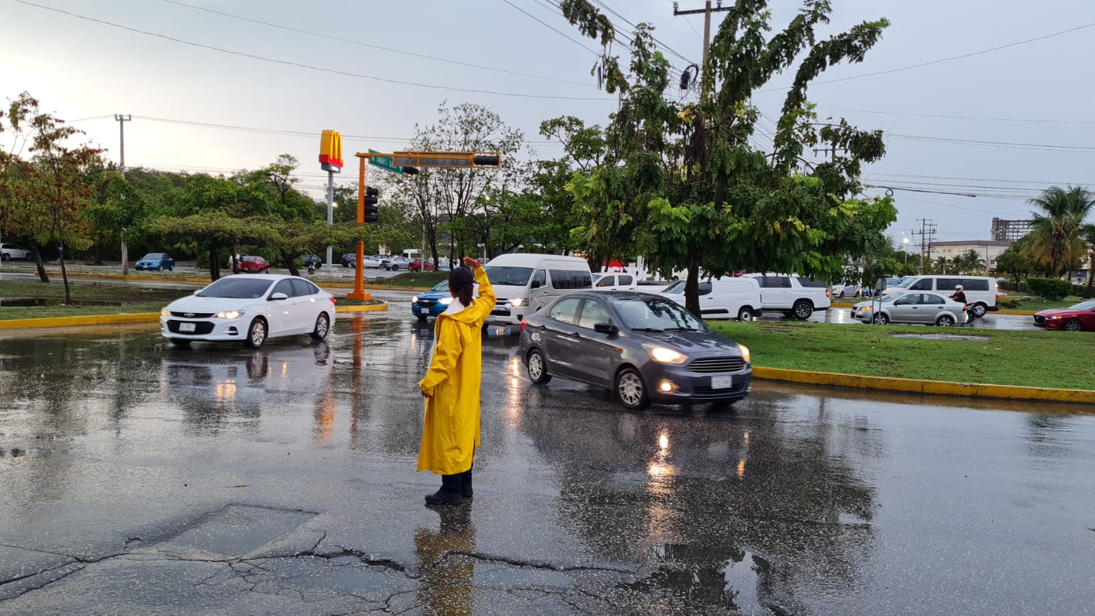 uploads/6/32/01 (84).Jpeg